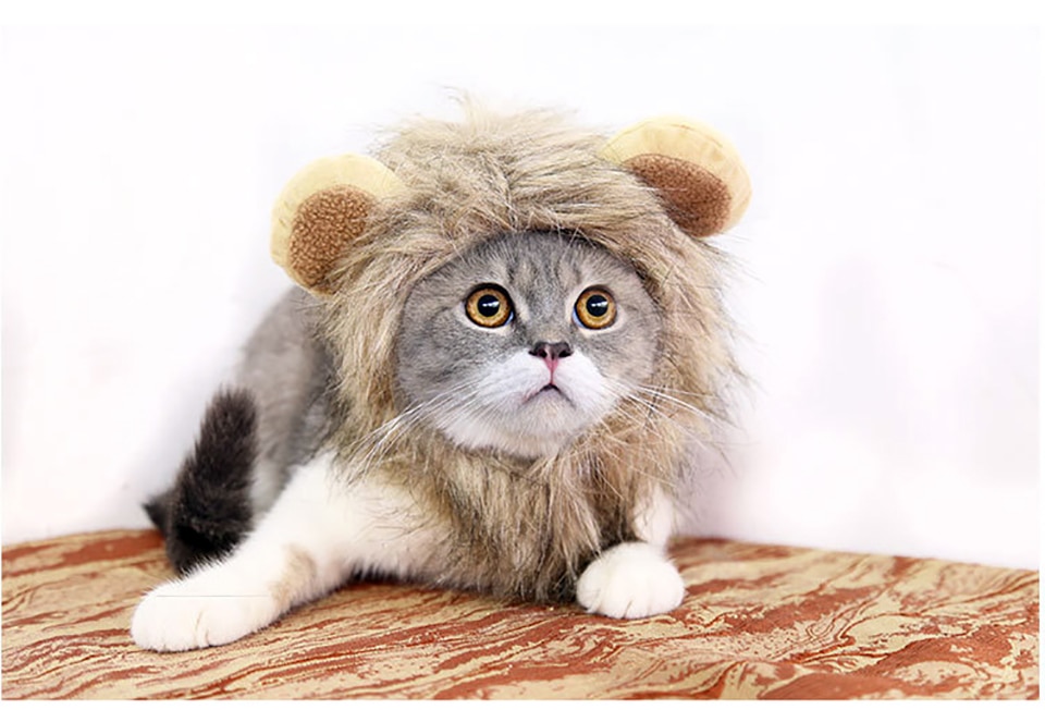Cute Lion Mane Cat Wig Pet Small Dog Cats Costume Lion Mane Wig Cap Hat for Cat Dogs Fancy Costume Cosplay Toy Pet Supplies