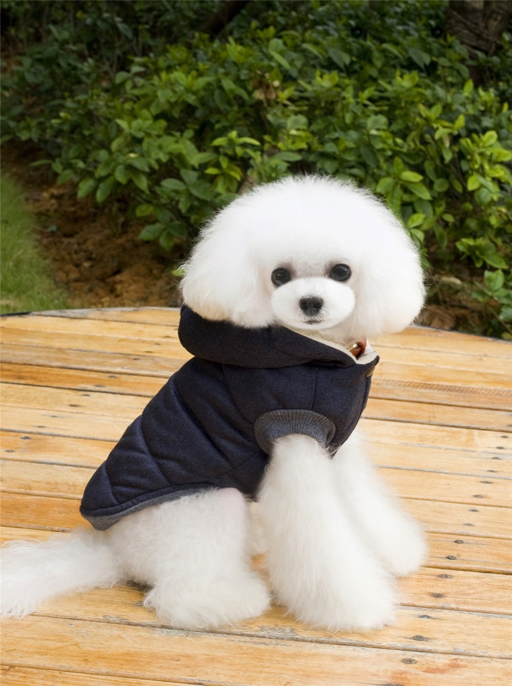 High Quality Pets Dog Clothes Cotton Winter Thicken Jacket Coat Costumes Hoodies Clothes for Small Puppy Dogs Cat Clothing 2021