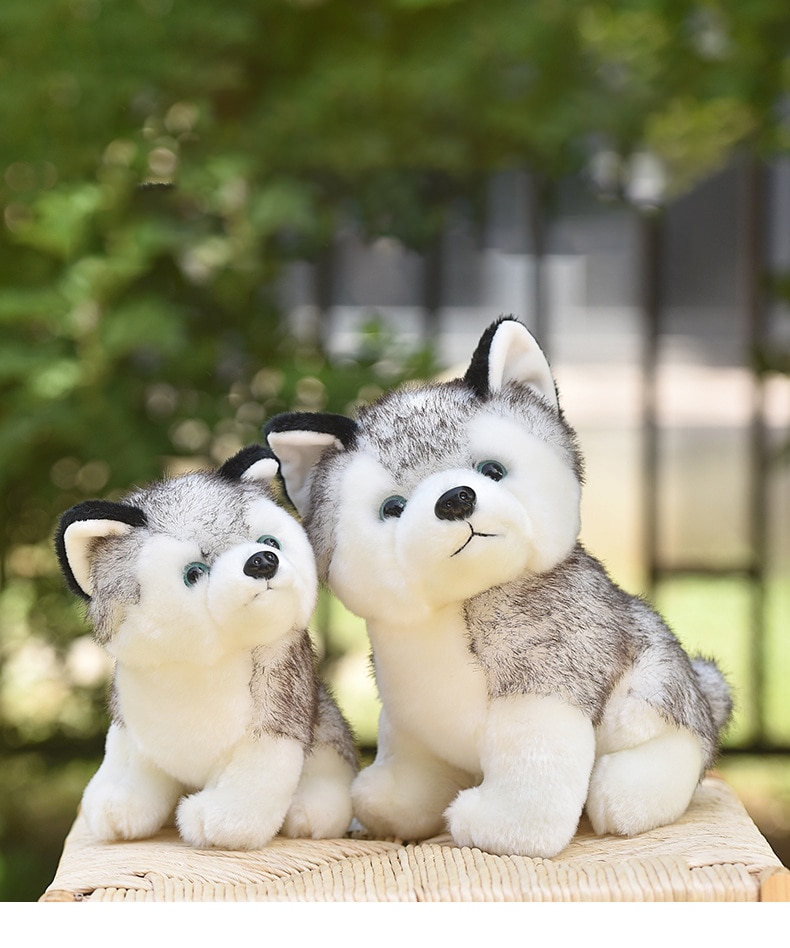 20-30cm cute husky dog plush toy wolf soft stuffed animal cute plush kawaii children doll fluffy birthday gift child boy WJ131