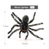 Black-Spider