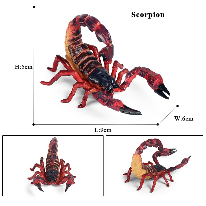 Oenux Insect Animals Model Butterfly Mantis Spider Bee Scorpion Dragonfly Action Figures Figurine Miniature Educational Kids Toy