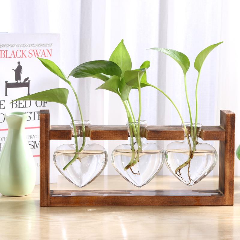 Glass Vase Hydroponic Plant Vase Home Decoration