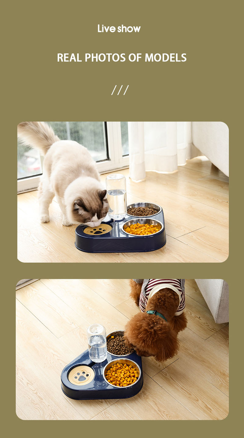 3 in 1 Pets Bowl Feeder Drinking Bowl Stainless Steel