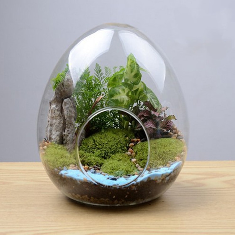 1PC Creative egg-shaped bottles Vase Hydroponic Micro Landscape(just the bottle)