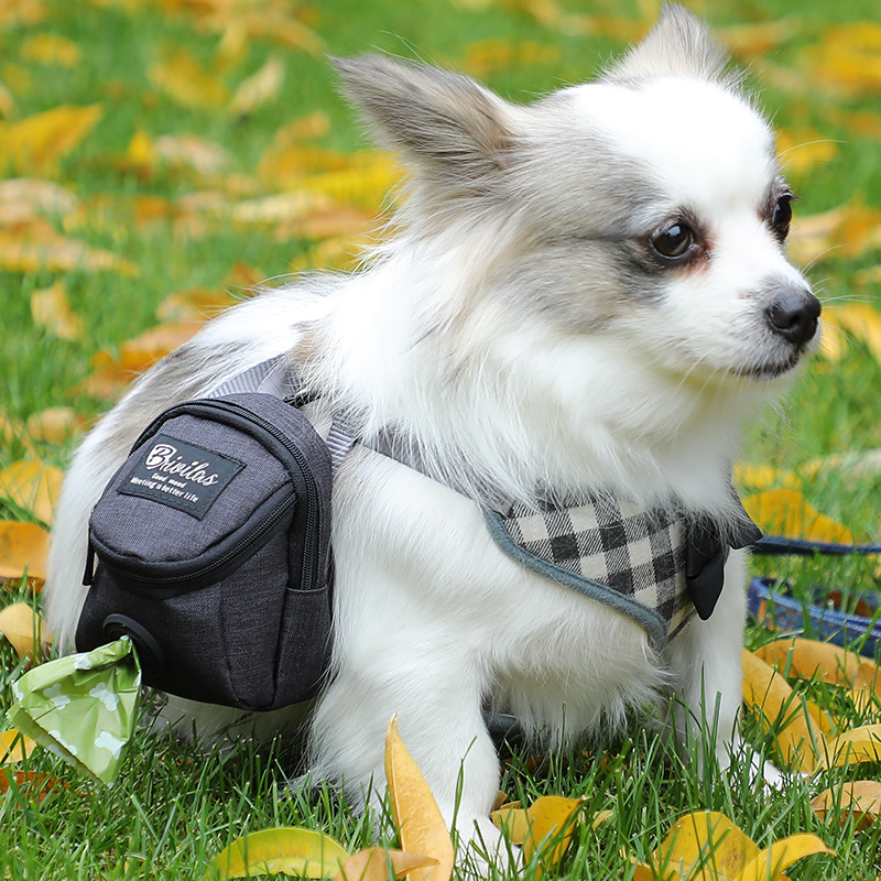 Pet training bag Outdoor Travel