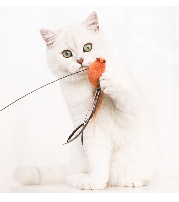 Simulation Bird interactive Cat Toy Funny Stick Toy for Kitten